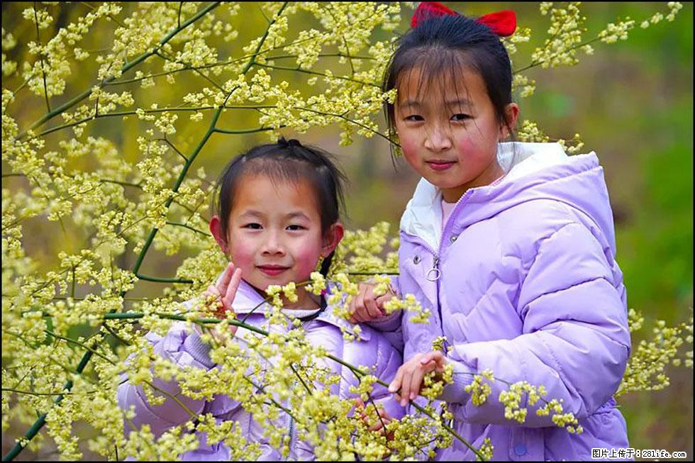 【春天，广西桂林灌阳县向您发出邀请！】米珠山前有片山苍子花在飘香 - 游山玩水 - 呼伦贝尔生活社区 - 呼伦贝尔28生活网 hlbe.28life.com