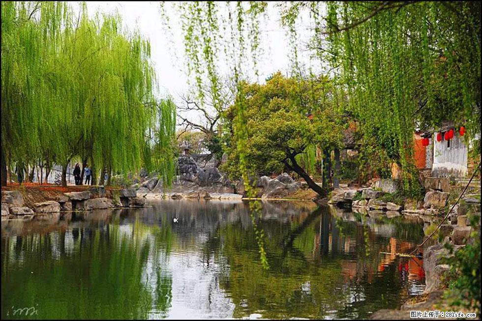 【春天,广西桂林灌阳县向您发出邀请!】江口老街又逢春 - 游山玩水 - 呼伦贝尔生活社区 - 呼伦贝尔28生活网 hlbe.28life.com
