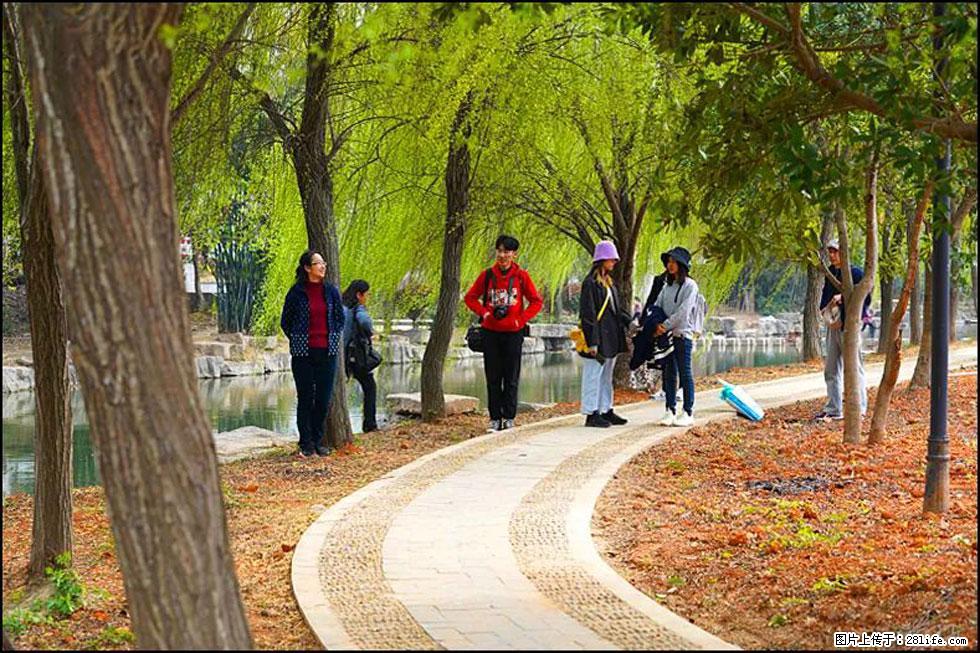 【春天,广西桂林灌阳县向您发出邀请!】江口老街又逢春 - 游山玩水 - 呼伦贝尔生活社区 - 呼伦贝尔28生活网 hlbe.28life.com