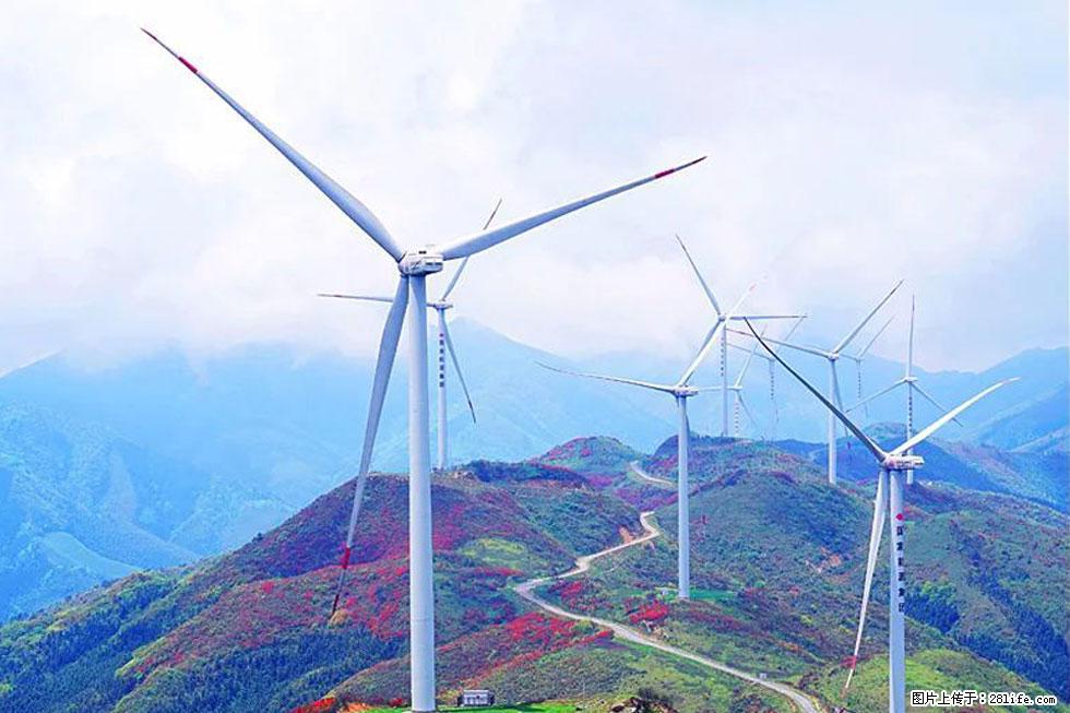 【春天,广西桂林灌阳县向您发出邀请!】春木界上映山红 - 游山玩水 - 呼伦贝尔生活社区 - 呼伦贝尔28生活网 hlbe.28life.com