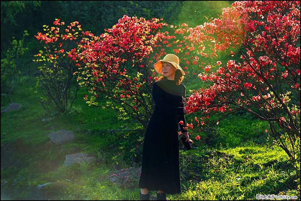 【春天,广西桂林灌阳县向您发出邀请!】春木界上映山红 - 游山玩水 - 呼伦贝尔生活社区 - 呼伦贝尔28生活网 hlbe.28life.com