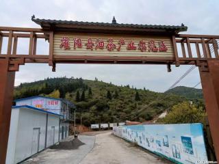【灌阳县油茶产业示范区】一个有着充实的精神生活的人,对待身外之物自会有一种淡泊的态度 - 呼伦贝尔28生活网 hlbe.28life.com