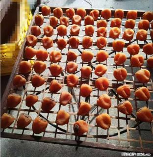 广西桂林平乐桥亭【柿饼之乡】2025年纯手工制作、无任何添加剂的第一批柿饼准备上市了，欢迎联系订购！ - 呼伦贝尔28生活网 hlbe.28life.com