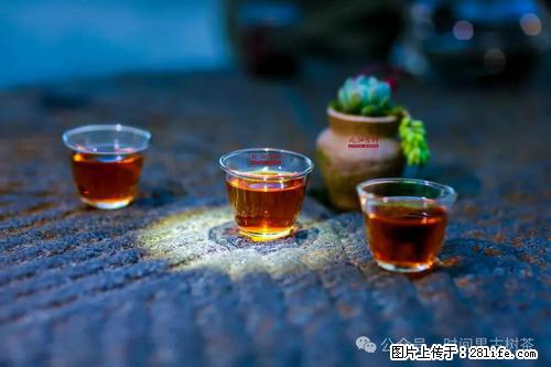 时间果百年古树2025年春红茶 - 购物交流 - 呼伦贝尔生活社区 - 呼伦贝尔28生活网 hlbe.28life.com