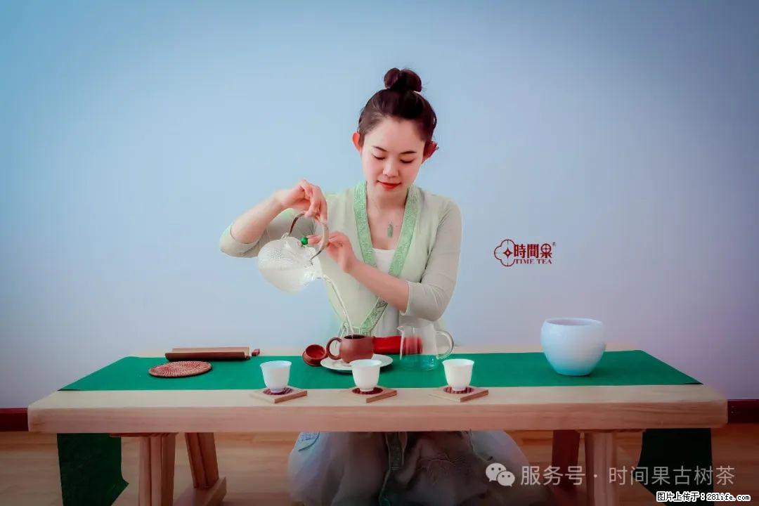 时间果百年古树龙珠普洱生茶 - 购物交流 - 呼伦贝尔生活社区 - 呼伦贝尔28生活网 hlbe.28life.com