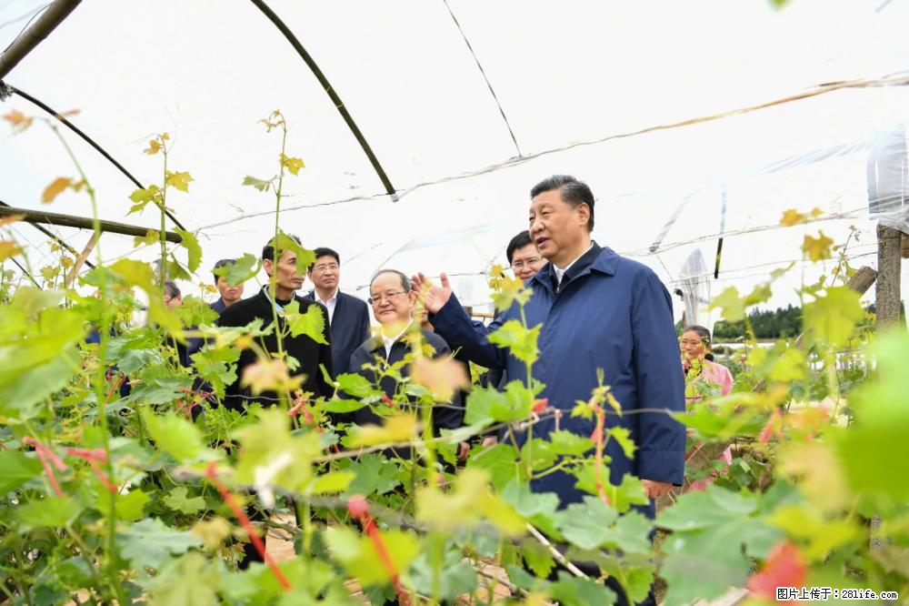 习近平赴广西考察调研 - 呼伦贝尔生活资讯 - 呼伦贝尔28生活网 hlbe.28life.com