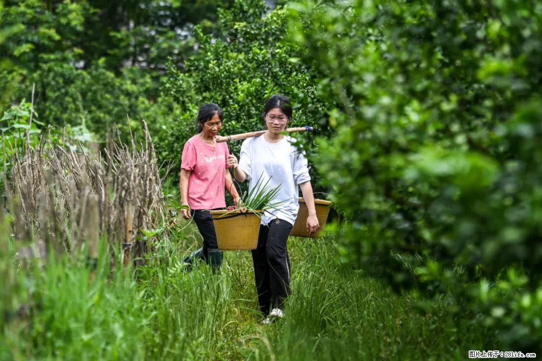 全网追的“扁担女孩”,找了一份暑假工,时薪12元 - 呼伦贝尔生活资讯 - 呼伦贝尔28生活网 hlbe.28life.com