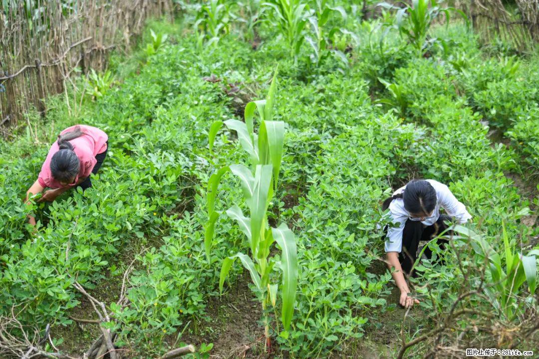 全网追的“扁担女孩”,找了一份暑假工,时薪12元 - 呼伦贝尔生活资讯 - 呼伦贝尔28生活网 hlbe.28life.com