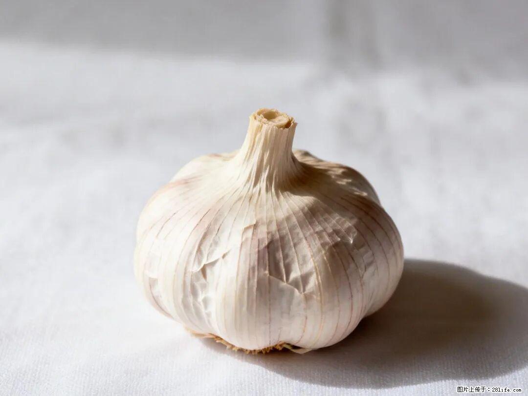 关于大蒜，除了“天然抗生素”，这4个谣言更该警惕! - 呼伦贝尔生活资讯 - 呼伦贝尔28生活网 hlbe.28life.com
