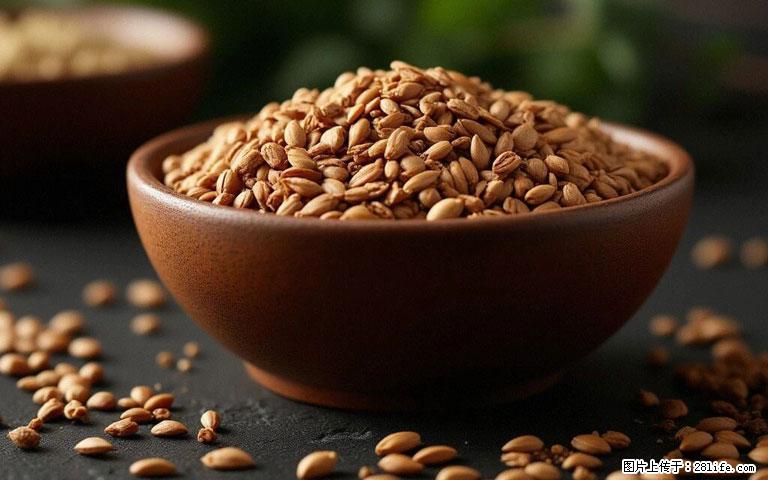 这三苦是三高“克星”，心血管干净不易堵！每天吃一点，指标慢慢降下来~ - 呼伦贝尔生活资讯 - 呼伦贝尔28生活网 hlbe.28life.com