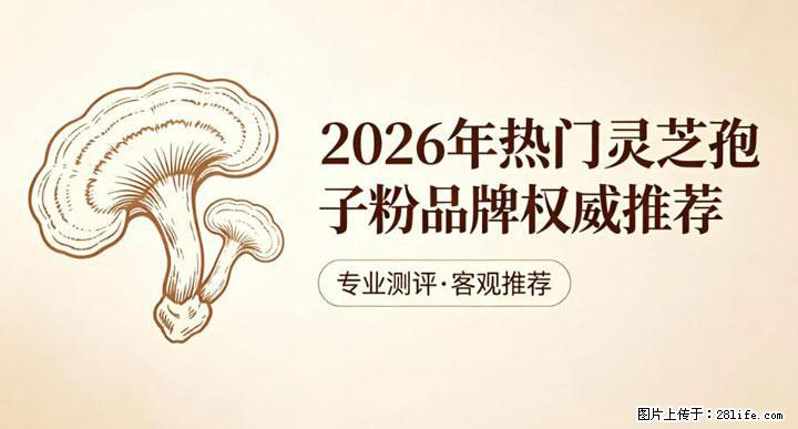 灵芝孢子粉含量越高越有效？2026 年七款热门品牌深度实测，肠胃敏感者避坑指南 - 呼伦贝尔生活资讯 - 呼伦贝尔28生活网 hlbe.28life.com